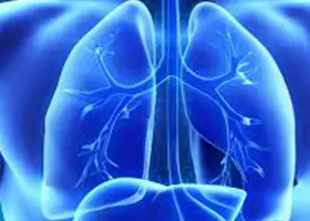 Malattie dell’apparato Respiratorio