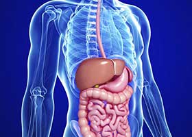 Endoscopia Digestiva