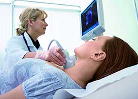 Endocrinologia