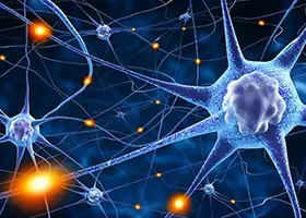 Neurologia
