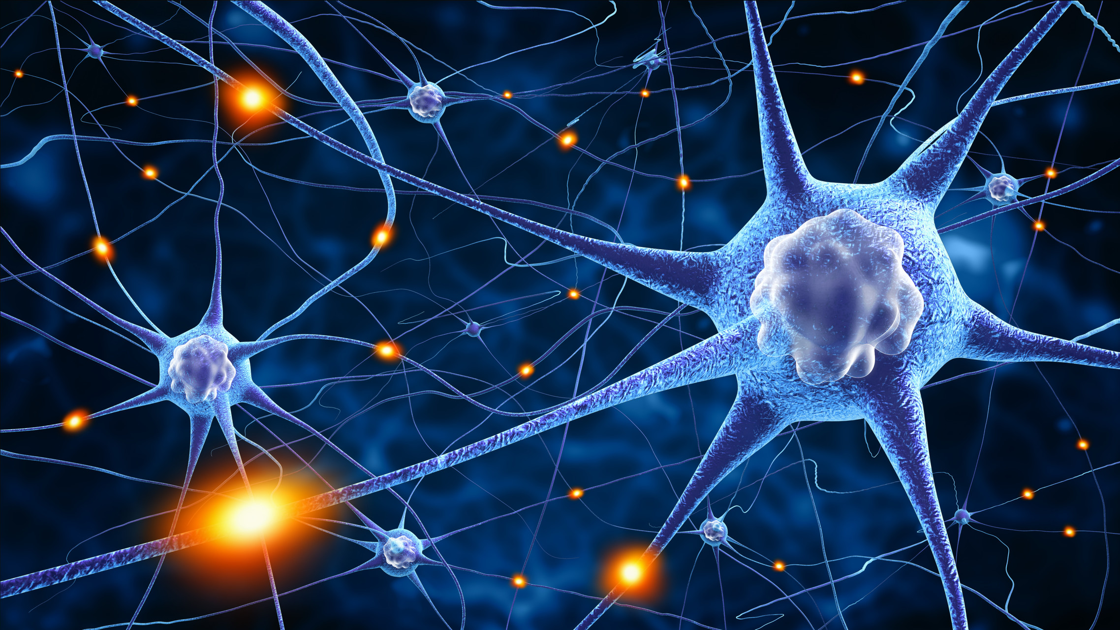 Neurologia