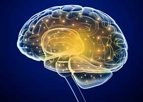 Neurologia e Neurofisiopatologia