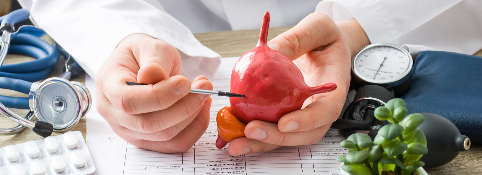 Urologia